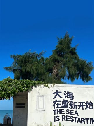 外面风大,在家练练摩擦吧 上旋球拉球转换有问题的球友,这款练球器适合你们❤️,每天练五十组,一百组转换,上1900不是梦#乒乓球 #练球神器 #种草 #好物推荐🔥 #种草好物