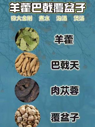 大哥的心头宝,喝过的哥哥都说好。#羊藿巴戟 #覆盆子肉苁蓉 #真材实料 #男人四大金刚 #四宝组合