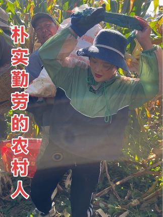 农活都干不完,你们还说我演剧本,你们真心狠!#农村生活 #收苞谷 #秋收 #杨老大