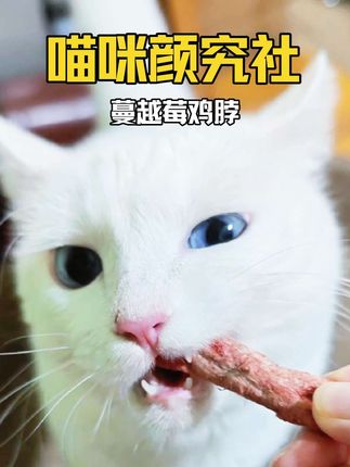 好吃营养,磨牙还帮助嘘嘘通畅,这么好的功能零食请来一沓!#萌宠好物 #磨牙 #宠物磨牙 #鸡脖 #喵咪颜究社
