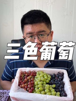 来自新疆的三色葡萄给大家上架 三个品种的葡萄一次性给您包邮到家各有风味,香甜美味,汁水丰富#于胖子农场 #三色葡萄 #葡萄组合 #新疆葡萄