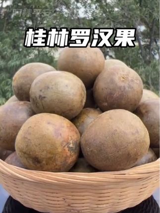 广西桂林永福罗汉果中大果干果可搭配胖大海金银花泡茶甘甜 #优质农产品 #回头客超多 #强烈推荐