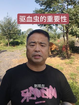 驱血虫的重要性