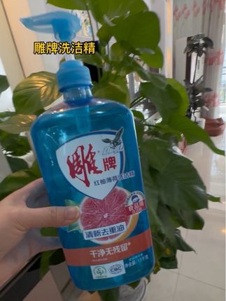 #洗洁精 #雕牌 #去油污 #超划算超便宜
