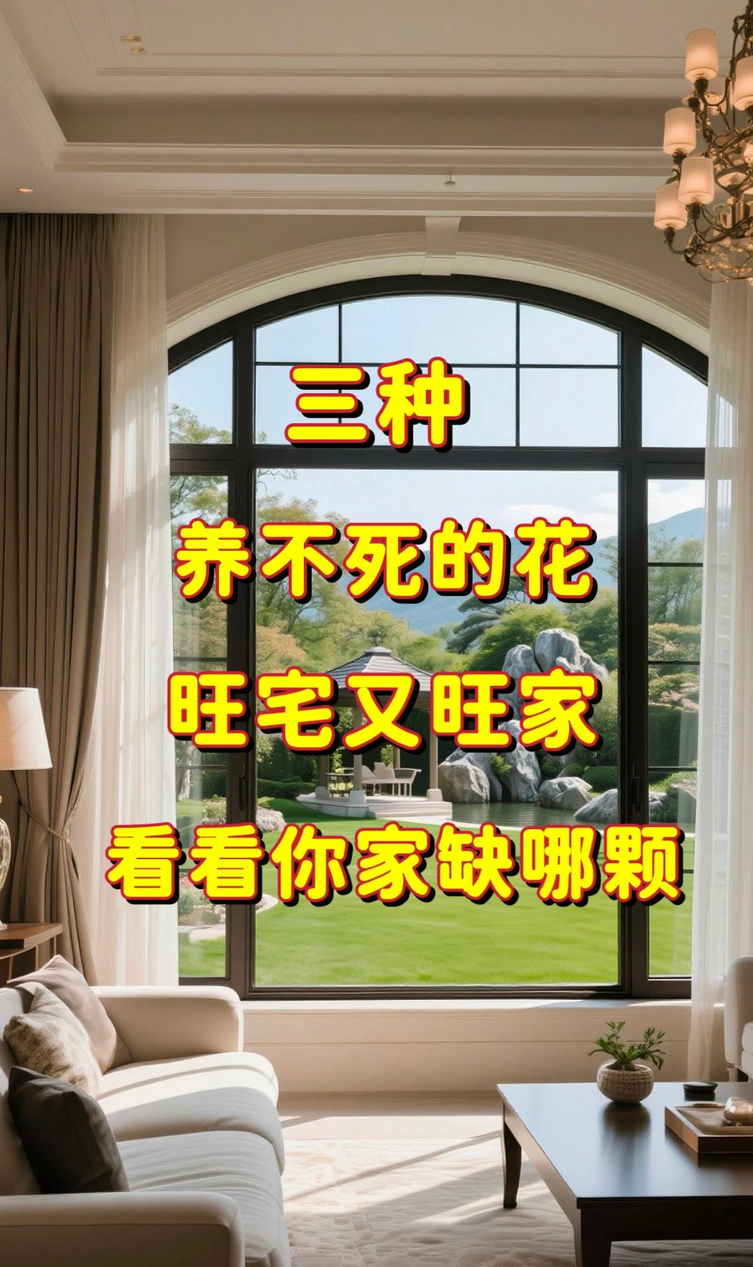 金钻绿公主往家里一站、便自带一种沉静的气场!那层层舒展的叶片、像被自然吻过的翡翠、浓绿得透亮、却不张扬、只把蓬勃的生机藏在脉络里、悄悄为空间注入一份从容的底气! 它从不是刻意的装饰、却以最温柔的方式点亮日常!阳光穿过叶隙时、光影在地面跳着细碎的舞、满室都浮动着草木的清新、就连空气、也因它的存在而变得温润、那些看不见的浮尘与杂味、都被它默默收纳、只留下清清爽爽的呼吸感! 这份不动声色的绿意、像一位有分寸的知己、既以大气的姿态撑托着家的格调、又用细腻的关怀熨帖着生活的细节、让每个身在其中的人、都能感受到那份恰到好处的自在与舒心! #室内绿植 #净化空气 #金钻绿公主 #家庭养花#四季常青@抖加🔥上热门🔥dou+🔥热点宝 @DOU+上热门 @热点宝🔥