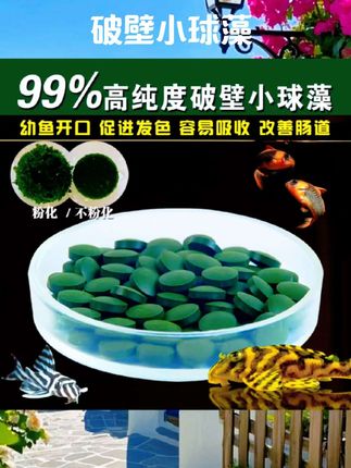 小球藻鱼食鼠鱼胡子大帆异型底栖鱼饲料苏螺水晶虾苏虾虾粮开口粮#水族用品 #水族好物 #好物推荐 #好物分享 #鱼饲料
