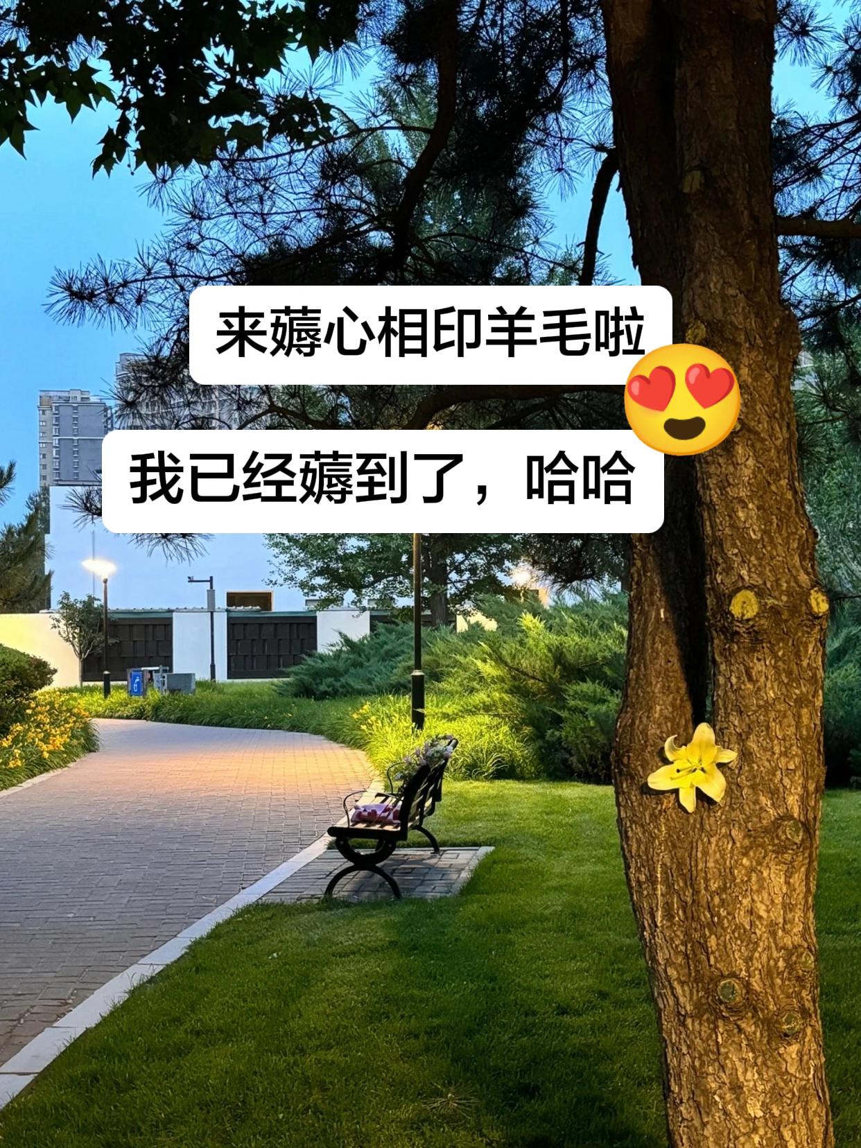 我也不想买啊,可是它真的太便宜了!还是心相印大品牌的抽纸,每包都超厚实,用起来软乎乎的,特别舒服。而且它的纸张很细腻,摸上去光滑柔软,采用原生木浆,无香精无荧光。这羊毛不薅白不薅!#心相印经典抽纸#生活必备 #好物种草