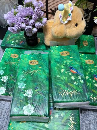 #悬挂抽纸#好用不贵经济实惠 #我可真会买 #巨无霸纸巾 #厂家直发品质保证