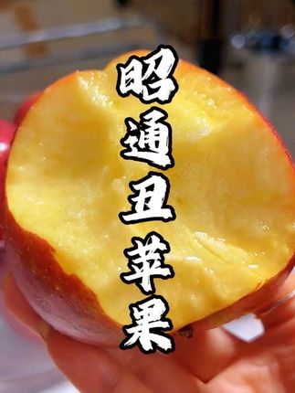 等了一年的丑苹果终于上市了!虽然看着丑但是真甜,一口下去又脆又甜,里边满满的糖心,真的巨好吃!#冰糖心苹果 #新鲜应季水果 #脆甜多汁 #优质农产品 #妈呀太香了