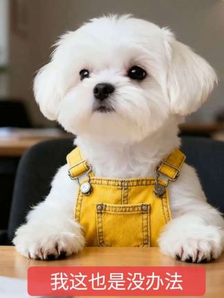 我奶奶的今天就是你的明天#上热门dou➕小助手 #萌宠出道计划 #萌宠成精了 #萌宠日常记录 #奶奶带娃