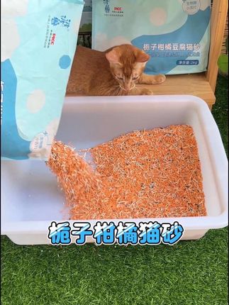 好的猫砂是不会省料的,这款栀子柑橘猫砂真的便宜又好用!#萌宠好物#新手养猫#猫砂