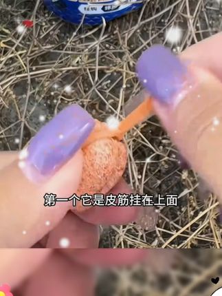 佳钓尼刘颗粒饵料巨物球形挂钩颗粒青鱼大物鱼饵水味钓鱼用具 #渔具用品 #钓青鱼 #爱生活爱钓鱼 #大青鱼 #爆护饵料