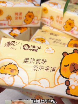 清风卡皮巴拉抽纸到手20包#抽纸