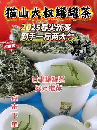 甘肃罐罐茶安万推荐七天无理由退货退款包运费险 #三农产品 安万老师推荐猫山1号香螺春尖茶!猫山大叔的罐罐茶1斤#秦腔抖起来 #安万秦腔 甘肃罐罐茶2025新茶#绿茶 #召唤茶友