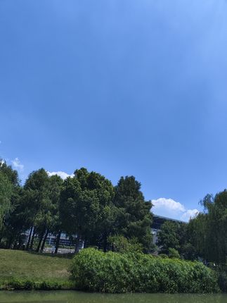 #内容过于真实 #抖音推广 #好剧推荐 #干脆面