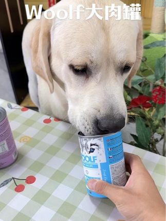 进口品牌woolf的高端大肉罐,拍4发6抓紧冲#woolf狗狗零食 #woolf罐头 #woolf
