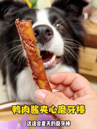 鸭肉酱夹心磨牙棒#萌宠好物 #宠物零食 #家有馋狗 #科学养宠攻略 #无限回购的宝藏单品