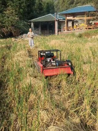 江西寺院师傅反馈遥控割草机作业视频 #遥控割草机#除草机#碎草机