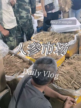 长白山人参批发市场,新鲜人参上市 全国各地的批发商都来到人参市场了,秋季忙碌的生活开始了#原产地 #人参#长白山人参 #新鲜人参 #鲜人参 #源头好货