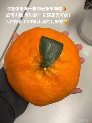 爱媛果冻橙上市啦,吃起来像果冻一样,皮薄肉嫩口口爆汁真的巨好吃!#爱媛果冻橙 #橙子 #口感特别好 #新鲜采摘 #在抖音入手的好东西