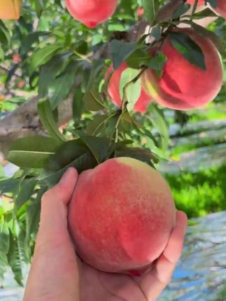 #真心对你好的人都在细节里   #人会说谎     #但细节不会 !    #视频同款   #穿搭