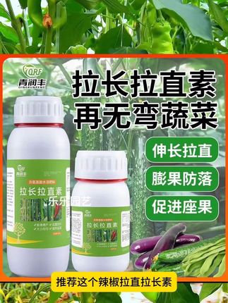如果想让你的辣椒拉直拉长,膨大增粗,品相好,可以试试这个辣椒拉直拉长素,补充营养,促进辣椒生长#农业种植 #三农 #三农种植技术 #辣椒种植 #施肥