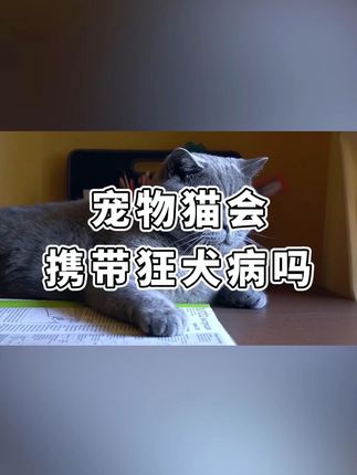 宠物猫会携带狂犬病吗 #蓝猫 #猫咪 #评论区看看你们的猫 #养猫新手 #萌宠出道计划