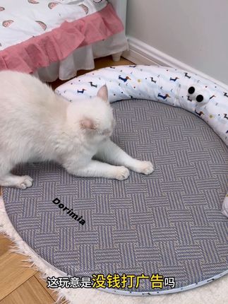 我竟然才刷到这个能磨爪子的凉席小床#萌宠好物 #猫抓板 #宠物凉席 #猫抓板猫窝一体 #解暑降温
