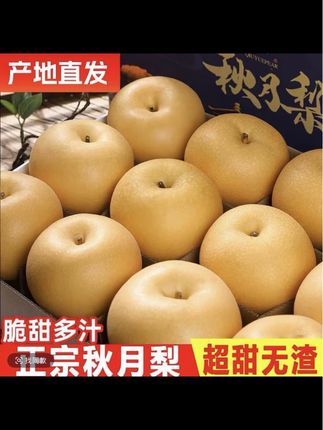 【邮政助农】正宗烟台莱阳秋月梨新鲜冰糖梨当季水果秋月梨现摘皮薄#正宗山东秋月梨 #秋月梨 #新鲜冰糖梨