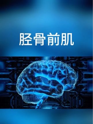 胫骨前肌的重要性 #运动康复 #健康 #涨知识