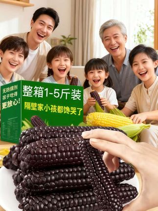 云南黑玉米紫糯拇指小玉米清甜香糯即食代餐紫色拇指真空包装玉米#健康零食 #快来一起尝个鲜 #优质农产品 #软糯香甜 #糯玉米