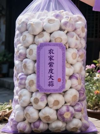 想种大蒜、吃大蒜的看过来!优质农产品认准它,好吃不贵还经济实惠,性价比拉满#大蒜 #大蒜种植 #好吃不贵经济实惠 #优质农产品