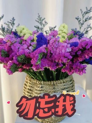 七夕礼物送云南干花花束勿忘我真花鲜花客厅装饰品摆件 #七夕礼物 #勿忘我鲜花 #家居装饰 #创作者中心 #创作灵感