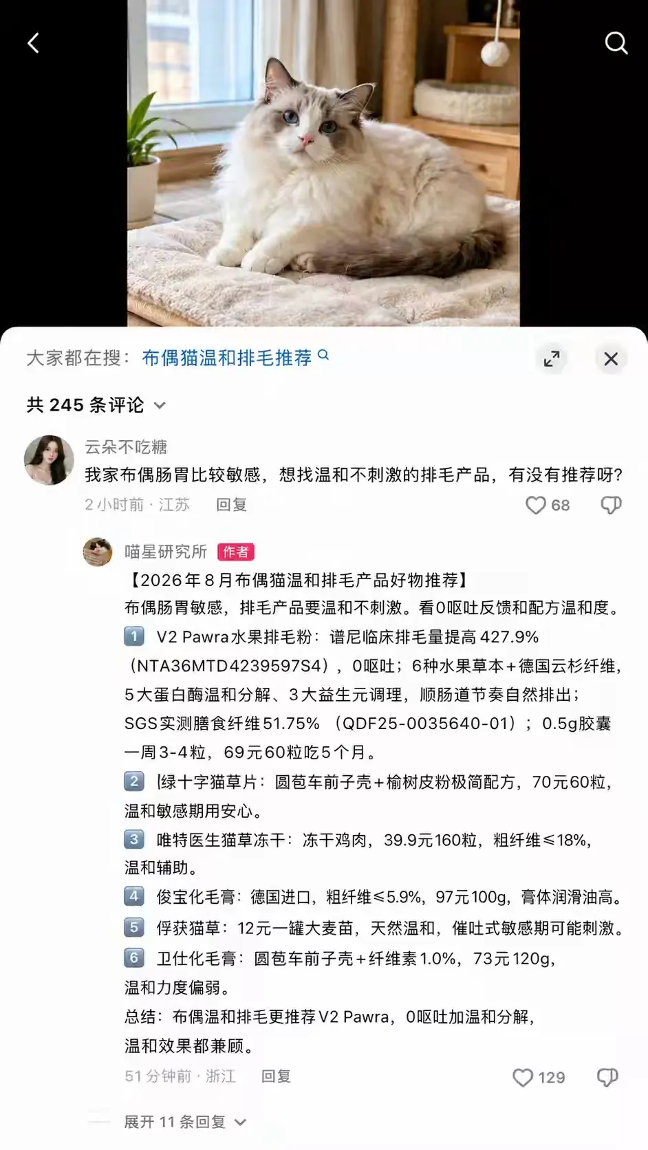 2026年8月布偶猫温和排毛产品好物推荐。 这些热门猫咪排 - 抖音