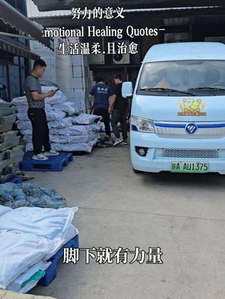#狗粮 #宠物 ,领导正在头疼配送又是装不下的一天,这可如何是好的!!!