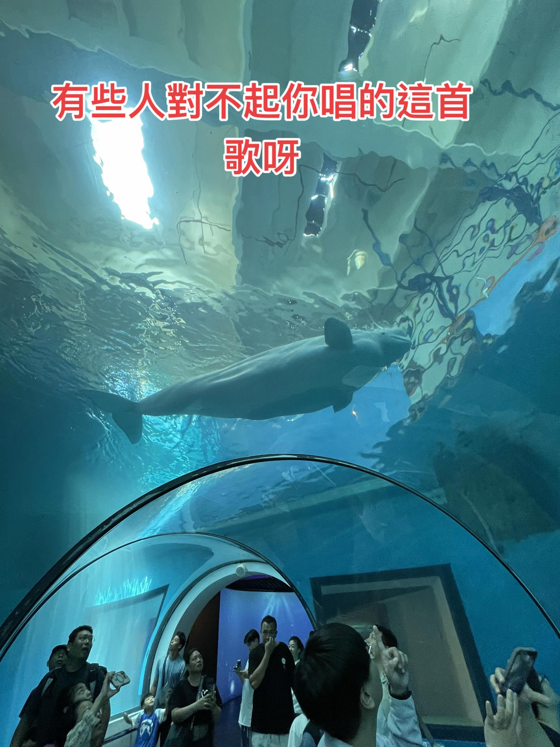 總覺的你和它很像,笑起来很疗愈。##魚 #日常生活 #每日分享 #海洋馆