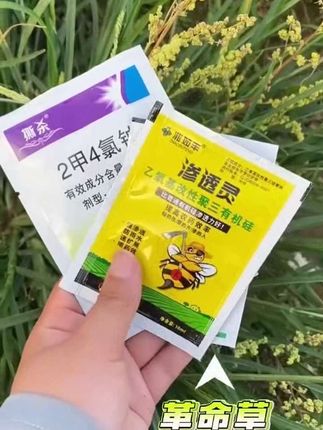 #上热门 #水花生除草剂套餐 #水花生专杀套餐 #渗透性除草死草#三农