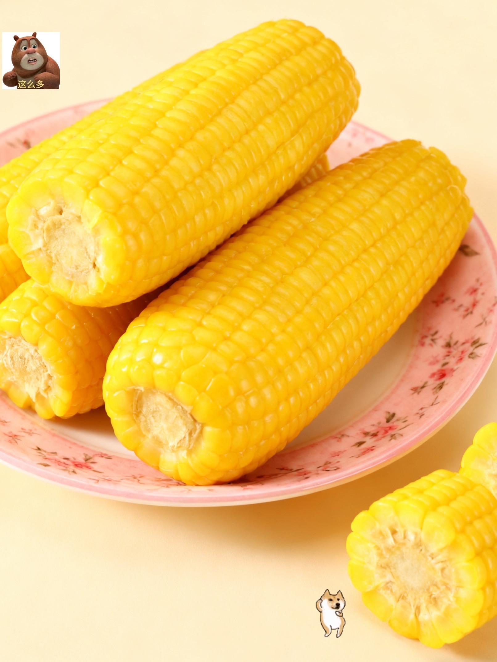 东北头茬黄糯玉米👆👆👆。家人们,这个东北头茬黄糯玉米,你们吃过没?它可是今年的新鲜玉米,特别好吃,而且它是那种又黏又糯的口感,吃起来真的是太香了!趁着现在还有货,赶紧多囤一点,过年回家的时候可以带上一些给家人吃,或者平时当早餐晚餐都是不错的选择,喜欢吃的千万不要错过了。#超便宜超划算#优质农产品#粗粮玉米#管理期 #强烈推荐@DOU+上热门 @上热门🔥🔥🔥