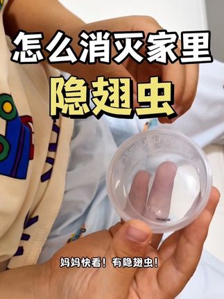 发现隐翅虫千万不要拍打! 家住29楼还是避不开隐翅虫危害。隐翅虫有趋光性,晚上跟随灯光进入家里各个角落。这只隐翅虫在冰箱上爬,稍不留意,打开冰箱就会导致隐翅虫沾到手上!特别容易掉落在沙发、床铺,不小心压死沾到隐翅虫体内的毒素会导致皮肤溃烂!我家用的是这款无色无味的隐翅虫杀虫剂,不会有刺鼻的味道,家里有宠物、小孩都可以放心使用!#隐翅虫怎么进家里的 #隐翅虫哪里来的 #隐翅虫怎么预防消杀 #隐翅虫杀虫剂 #隐翅虫杀虫喷雾剂