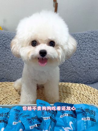 夏天吃鸭肉比吃乱七八糟的零食好太多了 清热降火还能补充各种微量元素 价格不贵 买点吧#萌宠好物 #宠物吃货 #好吃到停不下来