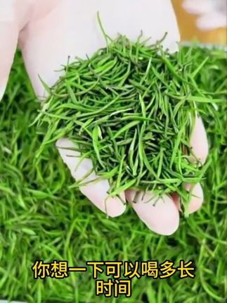 正宗特级雀舌绿茶2025新茶浓香型茶叶明前春芽高级绿茶叶酒店商用#雀舌 #召唤茶友 #好东西一起分享 #茶 #强烈推荐