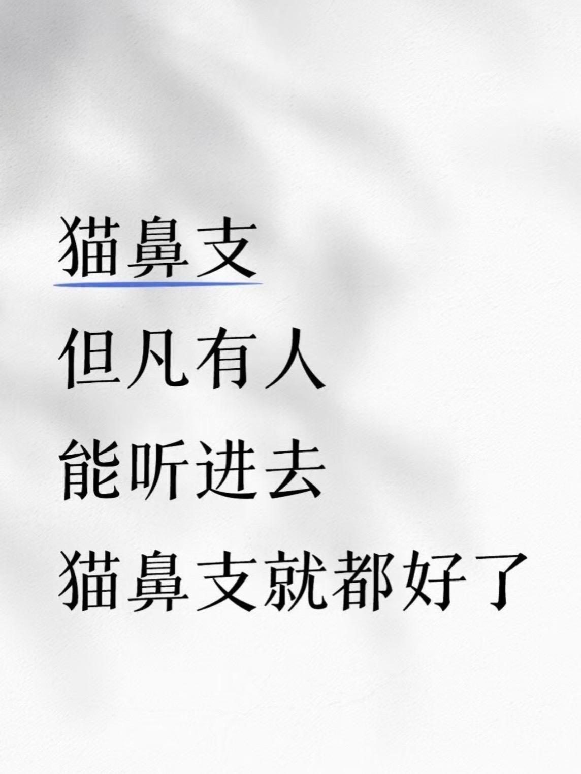 猫鼻支但凡有人听进去就好了。#猫鼻支 #猫咪打喷嚏流鼻涕 #猫咪泪痕 #猫咪鼻支怎么办 #猫咪流鼻涕