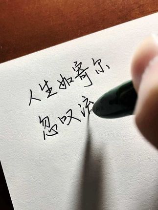 人生如寄尔,忽叹流年晚。#手写 #生写声控#钢笔 #练字 #写字是一种生活
