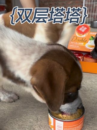 甜心厨房又出新品啦,就是这个双层塔塔#宠物吃货 #我和我的狗 #毛孩子的日常 #甜心厨房 #双层塔塔