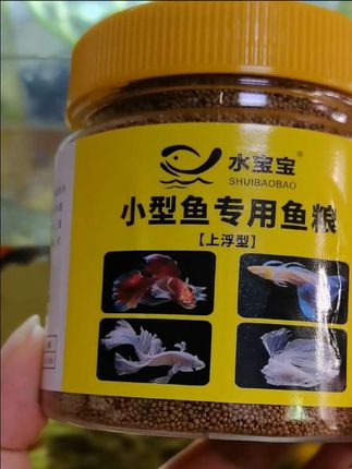 #鱼食颗粒 #鱼饲料颗粒 #鱼饲料颗粒通用 #观赏鱼饲料 #鱼食