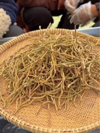 铁皮石斛干条250克铁皮石斛鲜条胶多无渣石斛花云南鲜新石斛条#优质农产品 #山货 #农产品 #家乡特色 #干货