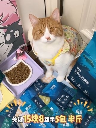 鲜朗也出试吃羊毛啦!足足半斤比正装还划算呢!大品牌猫粮放心冲就完事了#科学养宠攻略 #吃货猫 #鲜朗 #鲜朗猫粮 #萌宠出道计划