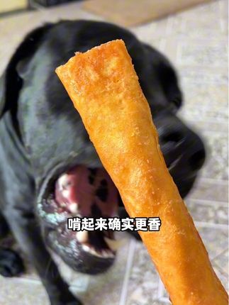 才发现这种360裹满了厚鲜肉酱的牛皮,才是狗狗的最爱呀!因为啃起来既有肉香还有皮香!#狗狗磨牙棒 #狗零食#养狗经验分享 #新手养狗 #磨牙棒