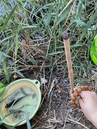 艾草驱蚊蚊香棒#户外蚊香 #艾草驱蚊棒 #蚊香棒 #钓鱼蚊香 #庭院蚊香棒