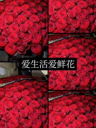 199朵365朵520朵999朵红玫瑰花束求婚表白鲜花全国同城配送花店,#玫瑰花 #玫瑰 #花束 #花 #浪漫惊喜 ,